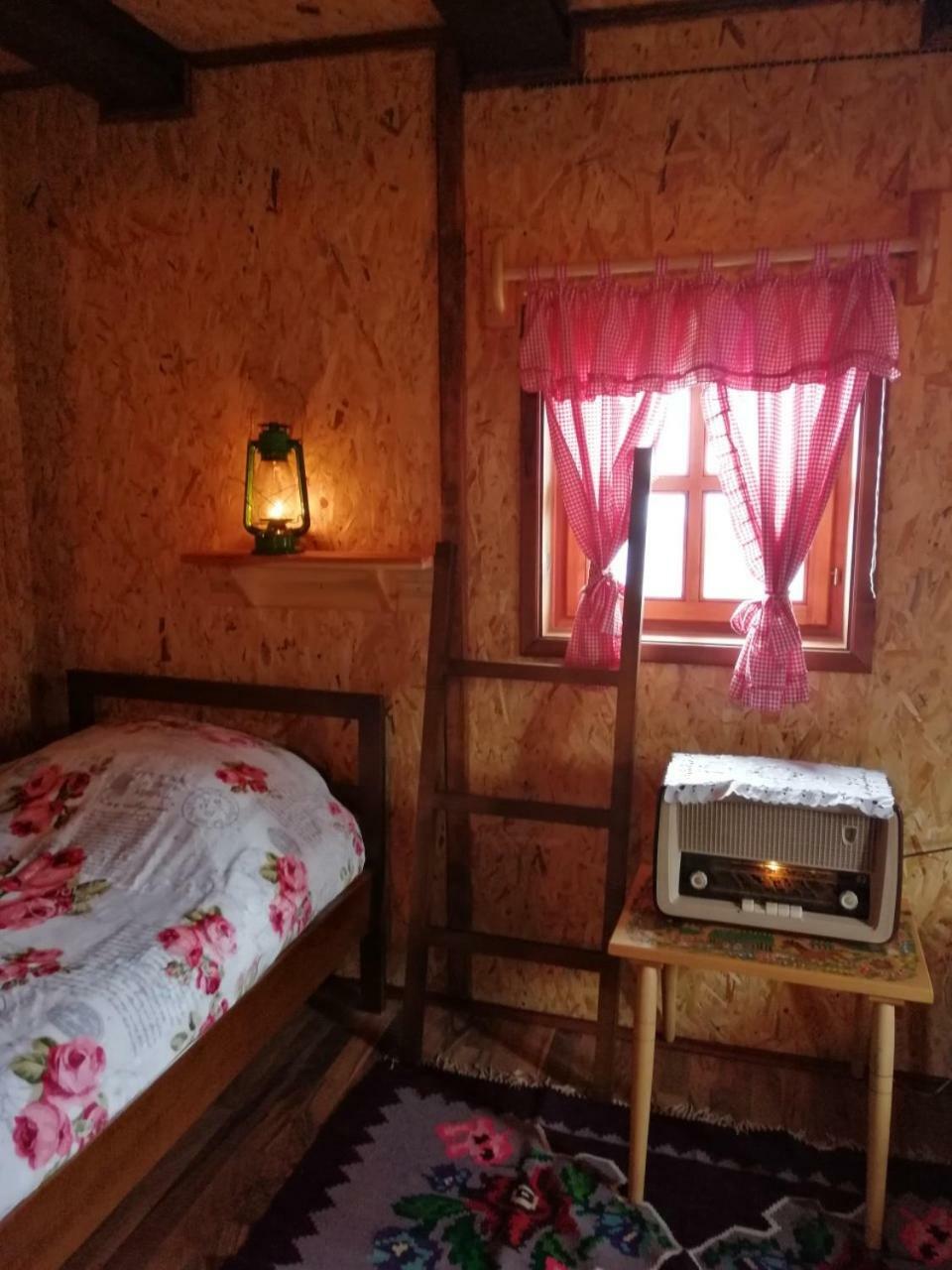 莫克拉戈拉Vikendica Rankovici别墅 外观 照片