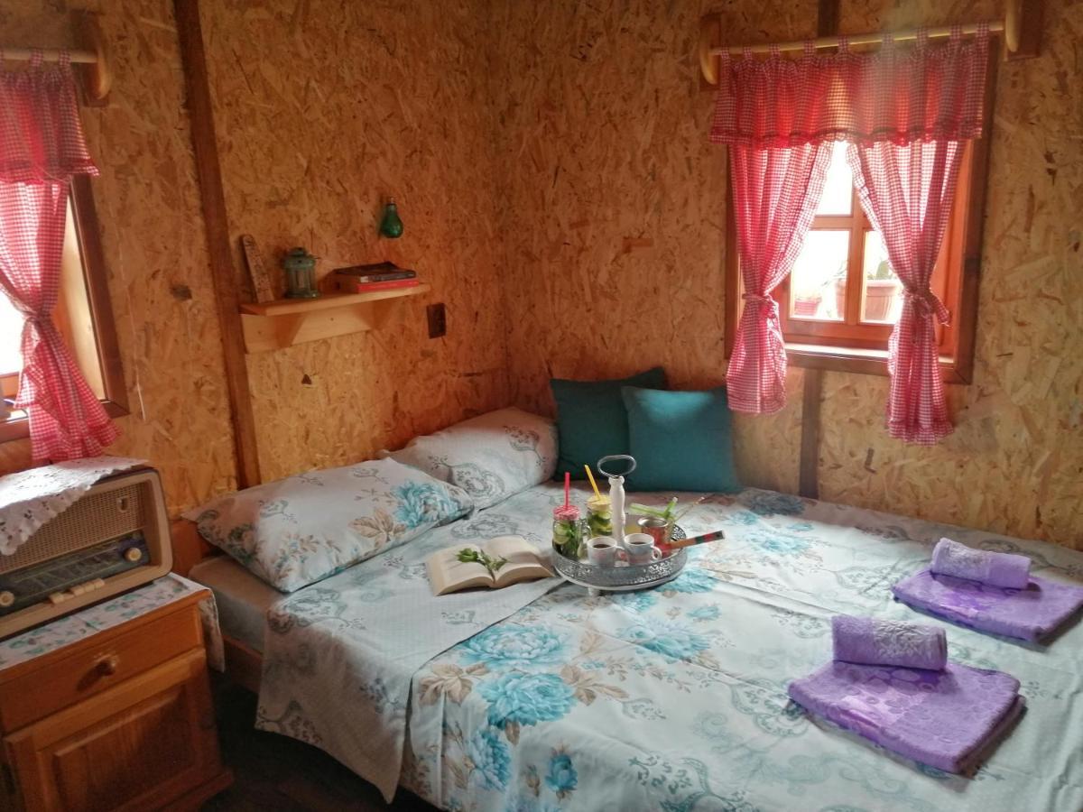 莫克拉戈拉Vikendica Rankovici别墅 外观 照片